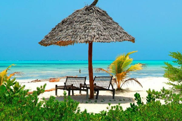 Фото пляжной полосы отеля Hakuna Majiwe Beach Resort 4*, пляж Паже, Занзибар