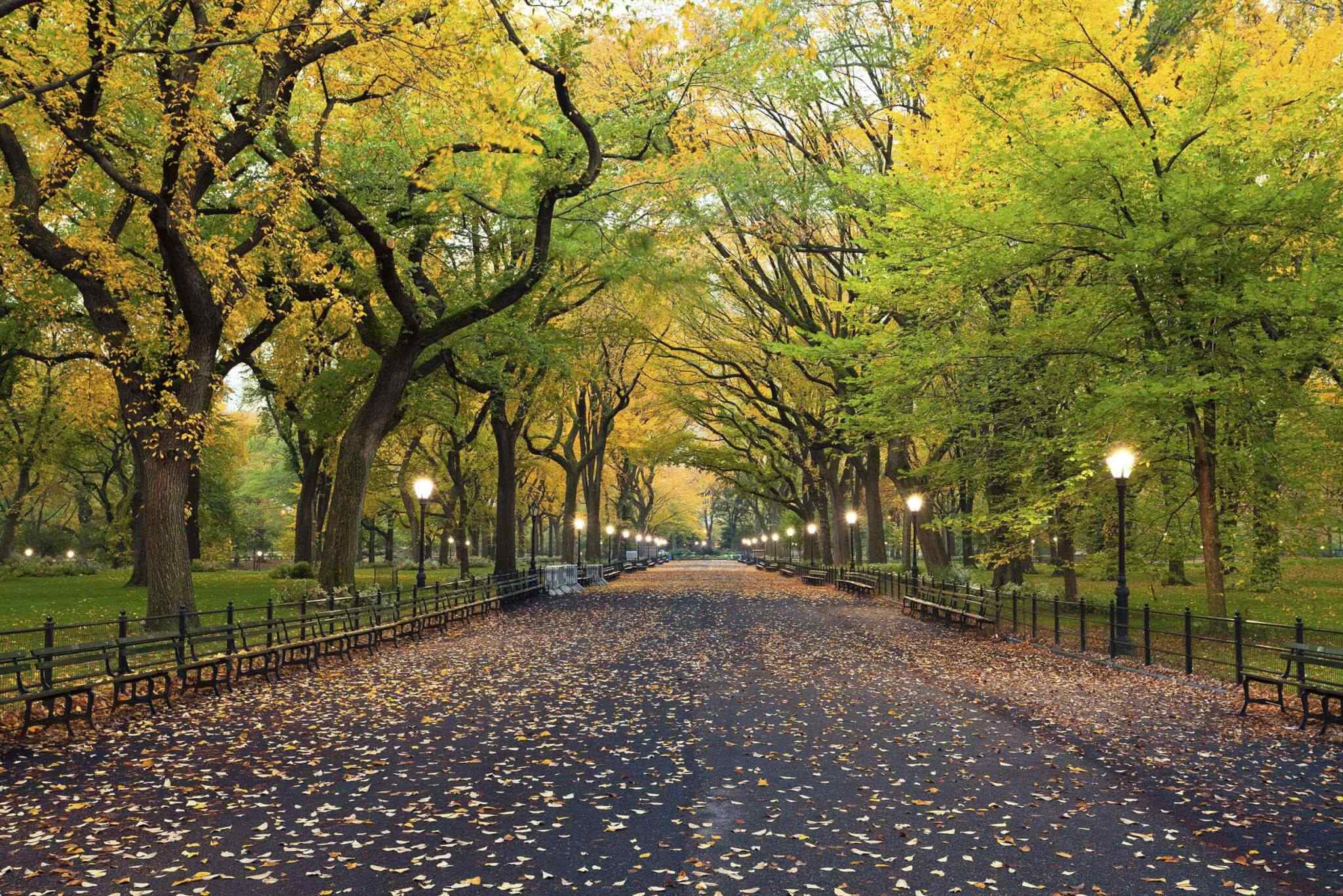https://seredinaleta.com.ua/wp-content/uploads/2018/09/destination-new-york-02.jpg